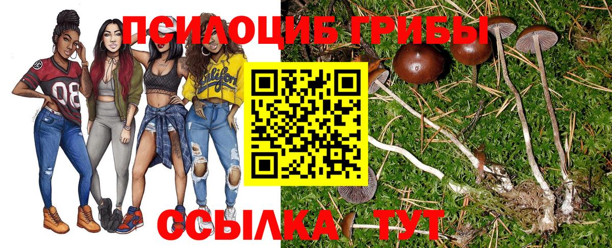 Псилоцибиновые грибы GOLDEN TEACHER  Вход с VPN  купить   Щёлково 